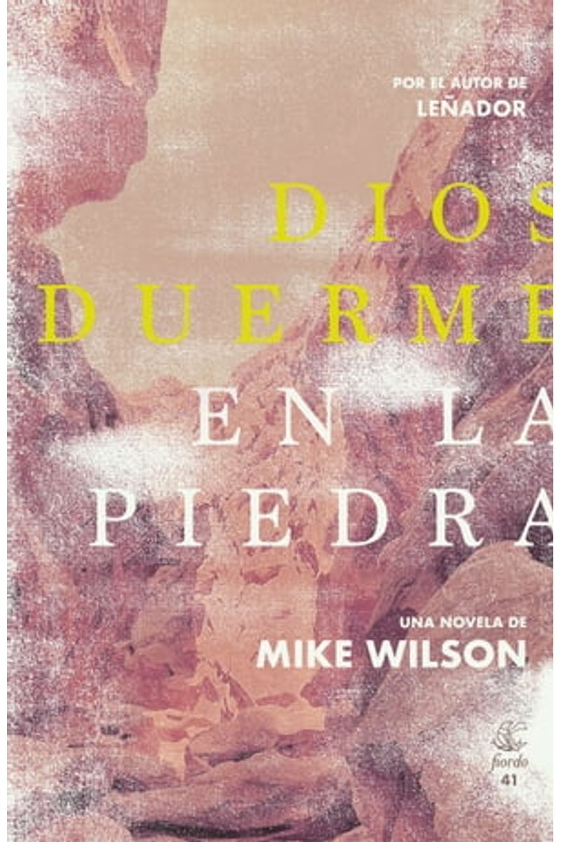 Portada de Dios duerme en la piedra